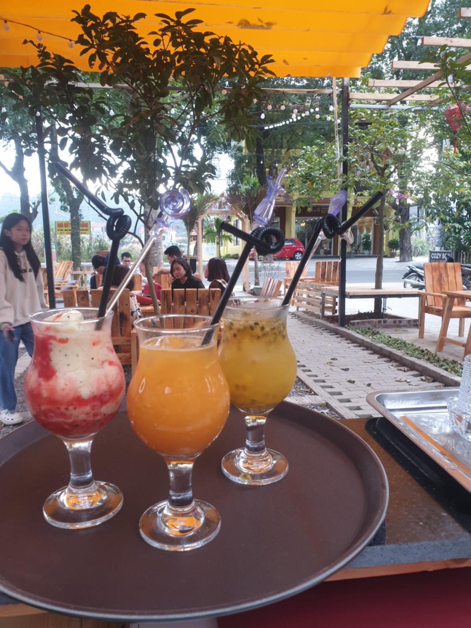 Cozy Son Hotel Ninh Binh Buitenkant foto
